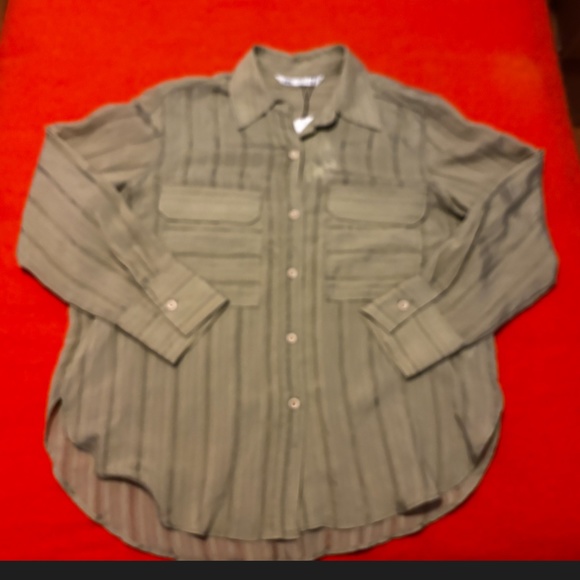 Zara light green shiny khaki striped long sleeve blouse NWT - Picture 3 of 9